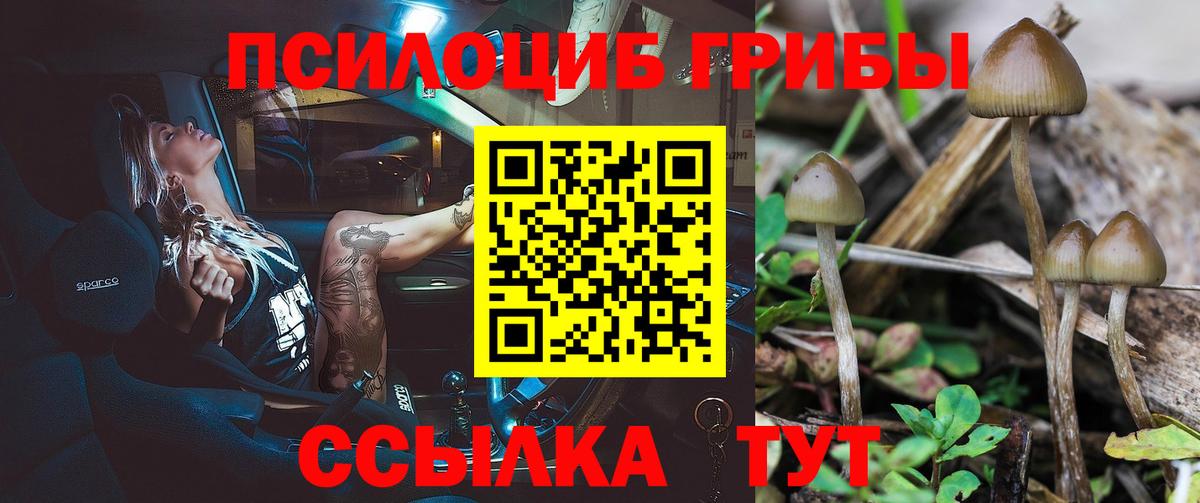 Галлюциногенные грибы прущие грибы Москва